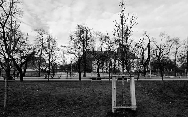 Prawo karne Wrocław | adwokatpl.top