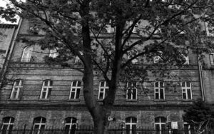 Prawo rodzinne Gdańsk | adwokatpl.top